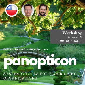 Panopticon, systemic tools for flourishing organizations